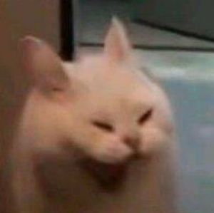 Meet your Posher, Gina